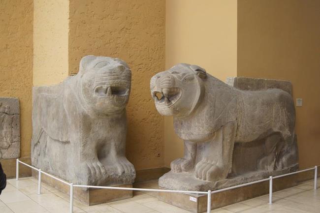Zdjęcie 30