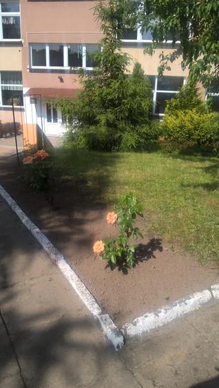 Zdjęcie 13