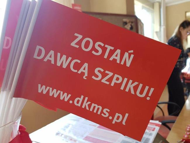 Zdjęcie 9