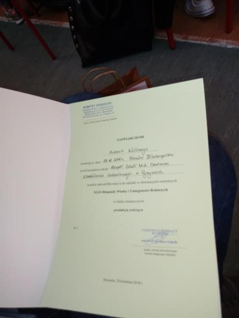 Zdjęcie 183