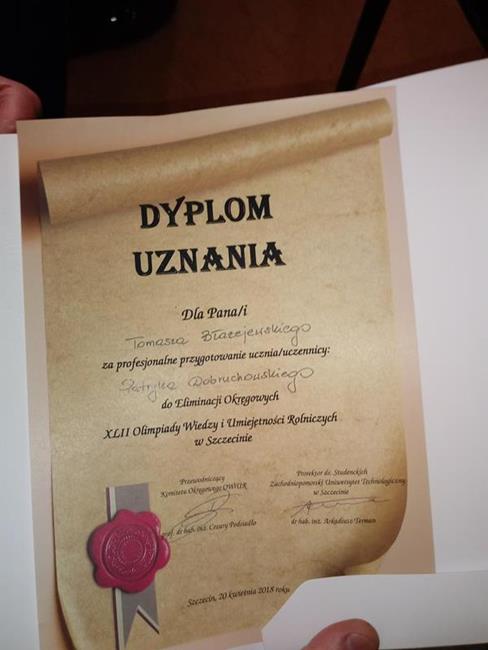Zdjęcie 185