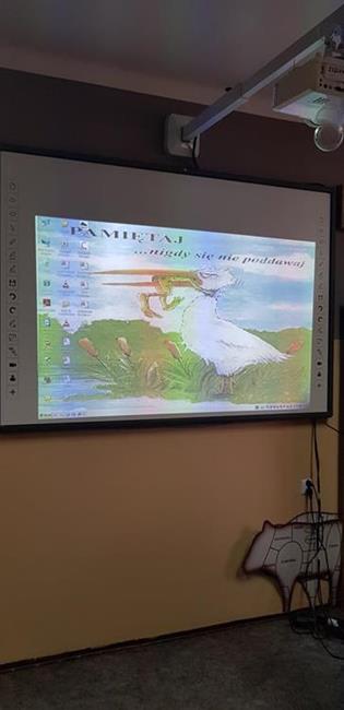 Zdjęcie 8