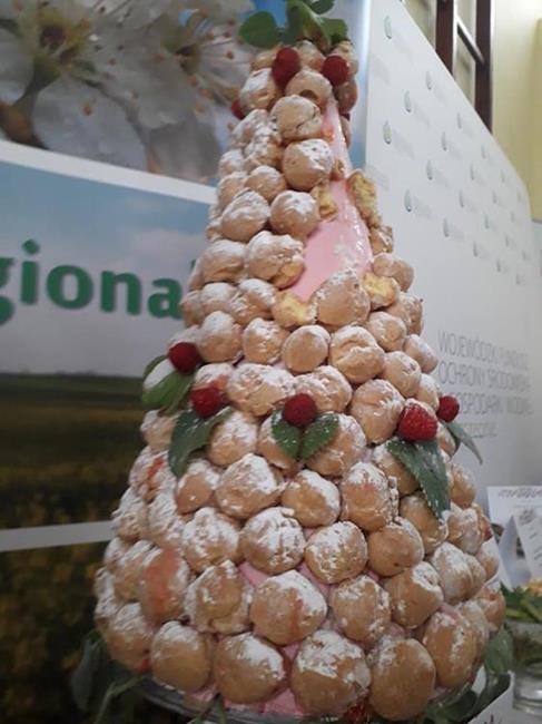Zdjęcie 14