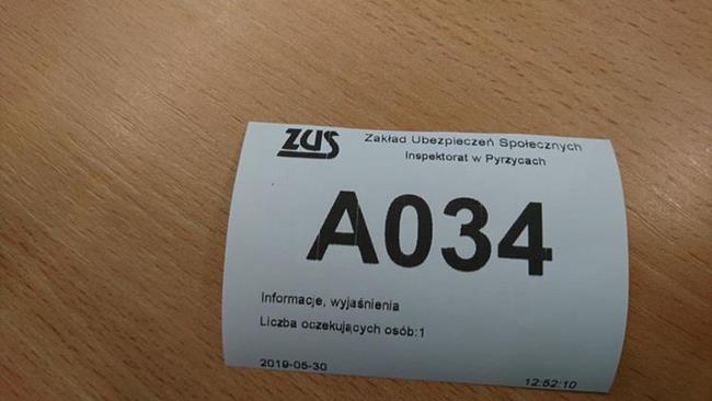 Zdjęcie 13