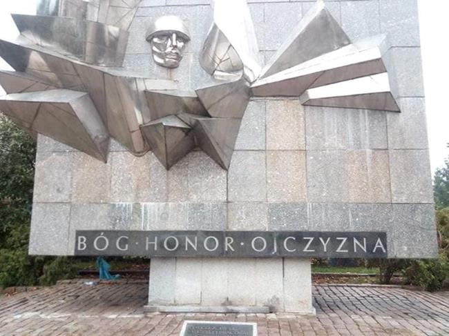 Zdjęcie 12