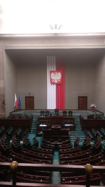 Zdjęcie 6