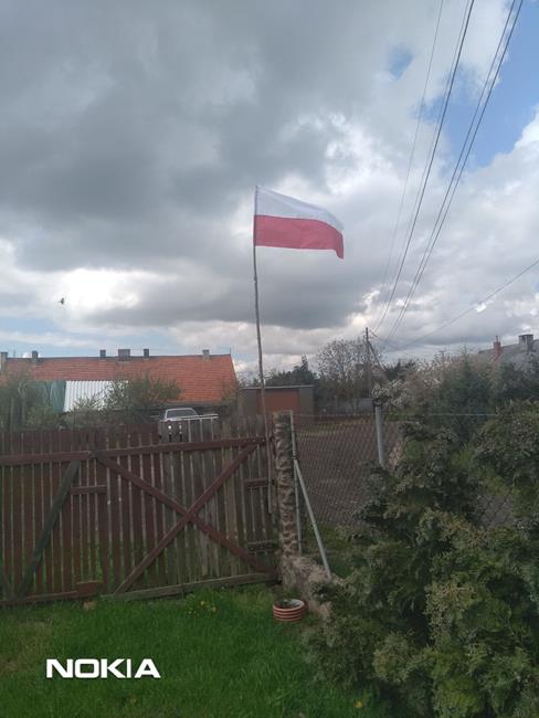 Zdjęcie 7