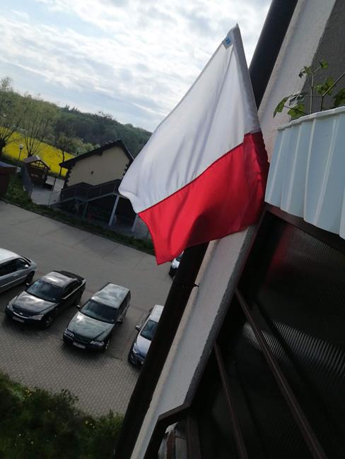 Zdjęcie 8