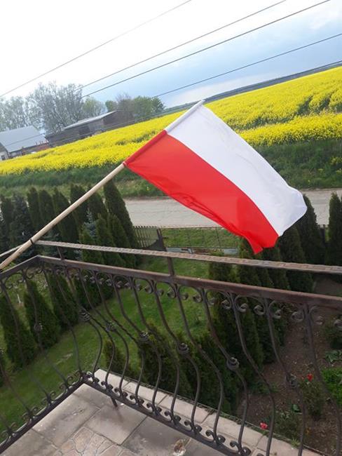 Zdjęcie 9