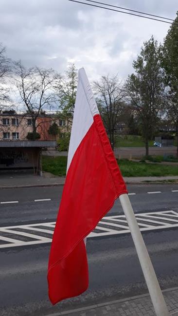 Zdjęcie 10