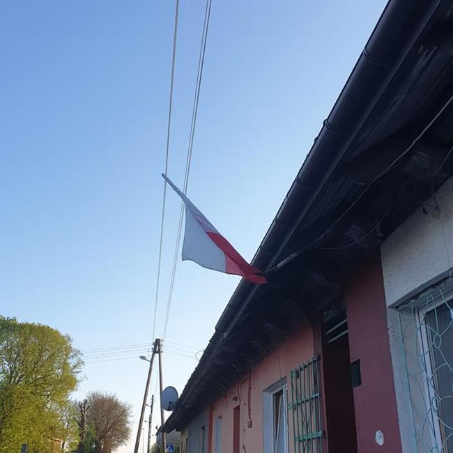 Zdjęcie 11