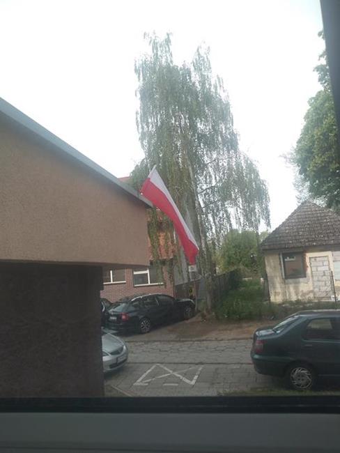 Zdjęcie 14