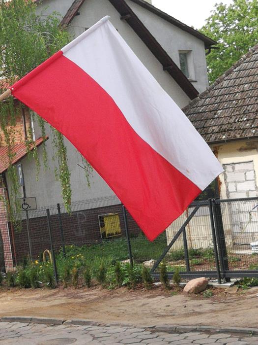 Zdjęcie 23