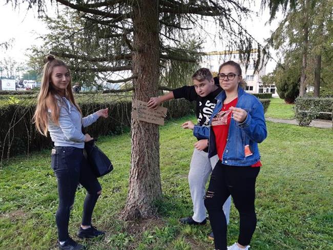 Zdjęcie 13