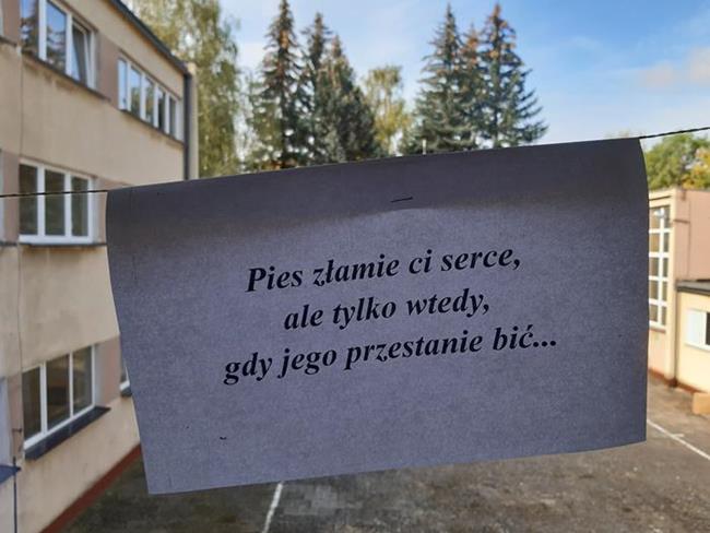 Zdjęcie 2