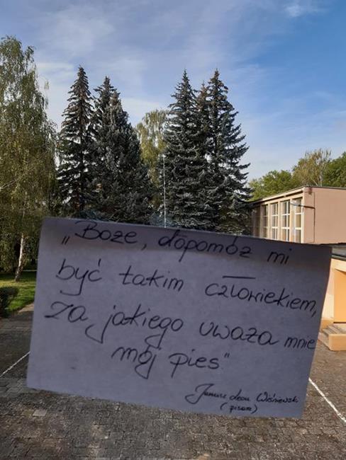 Zdjęcie 3