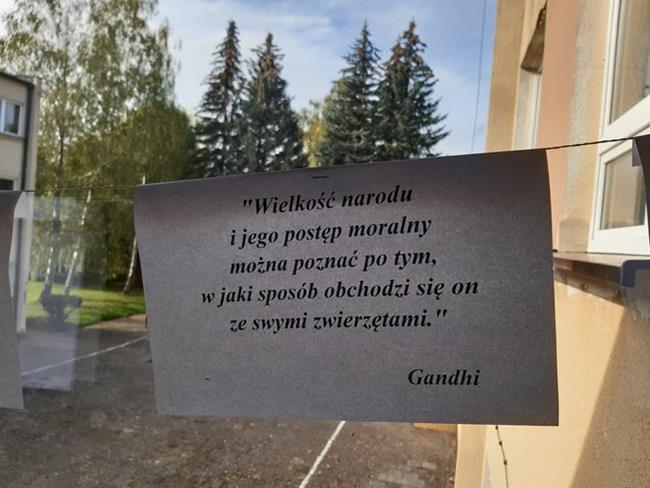 Zdjęcie 4