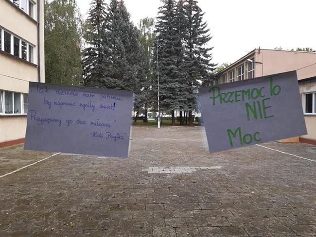 Zdjęcie 5