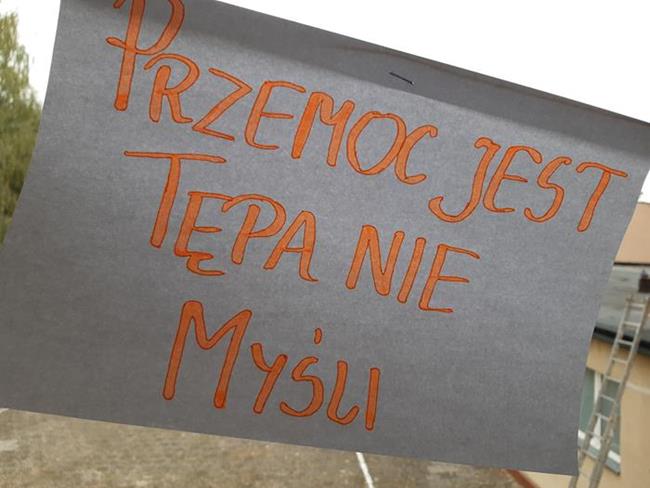 Zdjęcie 7