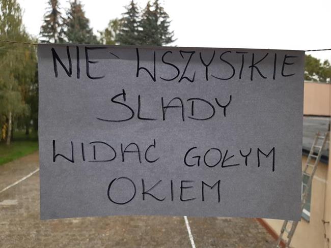 Zdjęcie 8