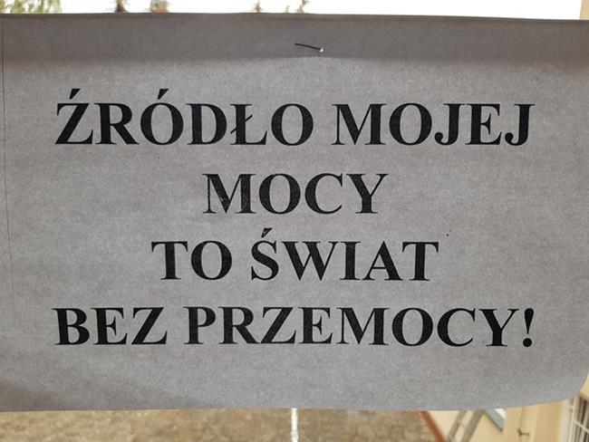 Zdjęcie 9