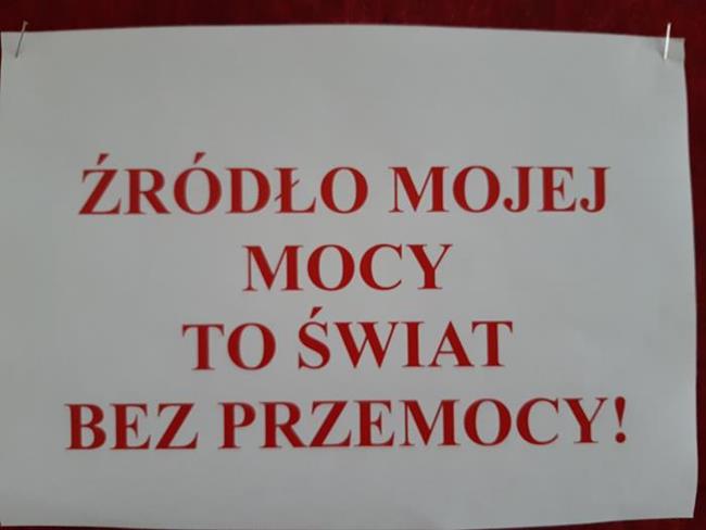 Zdjęcie 10