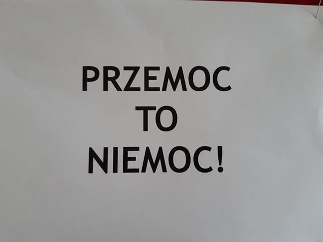 Zdjęcie 11