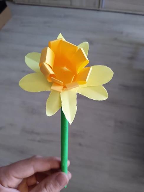 Zdjęcie 2