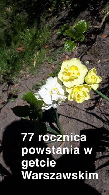 Zdjęcie 13