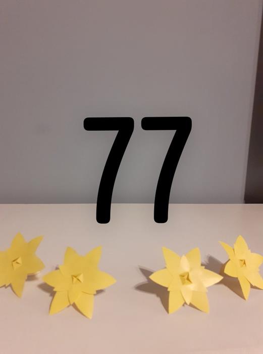 Zdjęcie 16