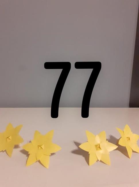 Zdjęcie 17