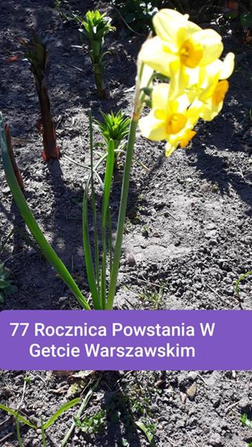 Zdjęcie 23