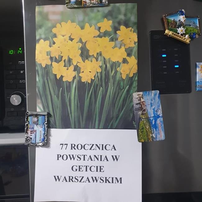Zdjęcie 34