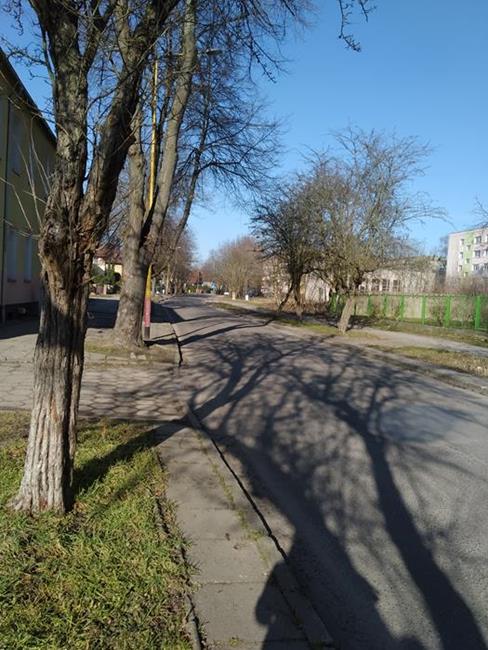 Zdjęcie 1