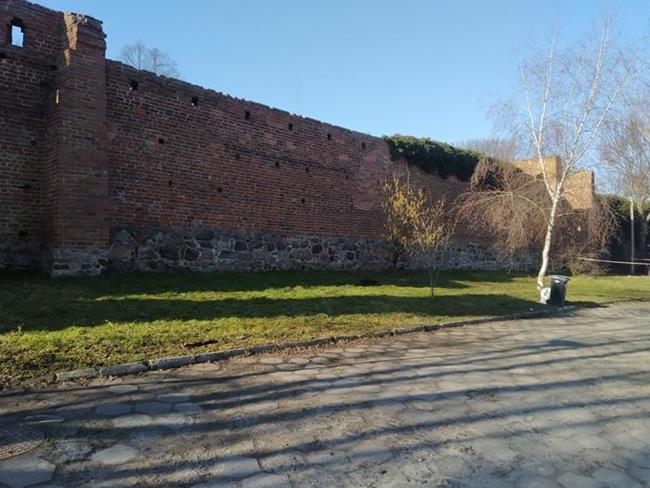 Zdjęcie 7