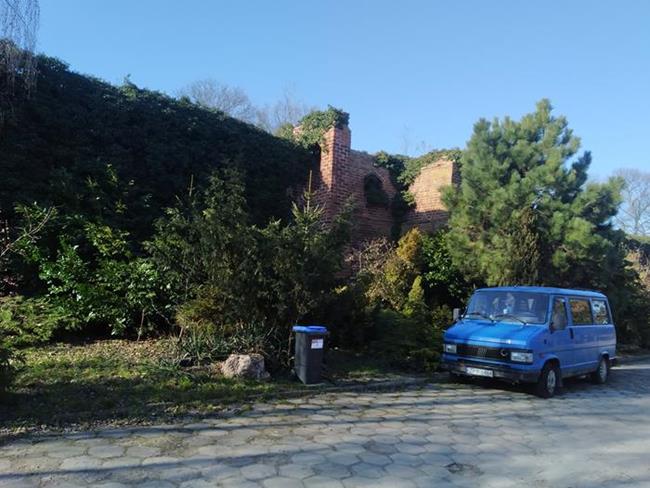 Zdjęcie 9