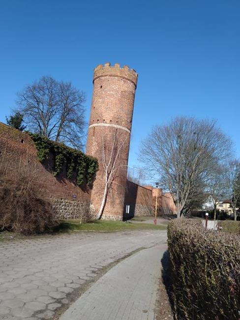 Zdjęcie 11