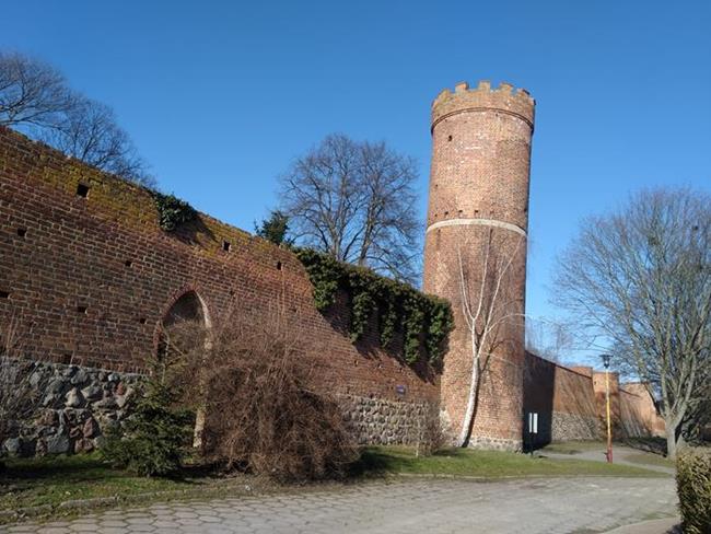 Zdjęcie 12