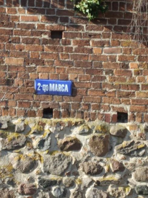 Zdjęcie 14
