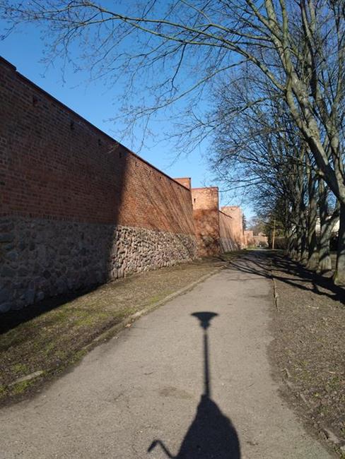 Zdjęcie 16