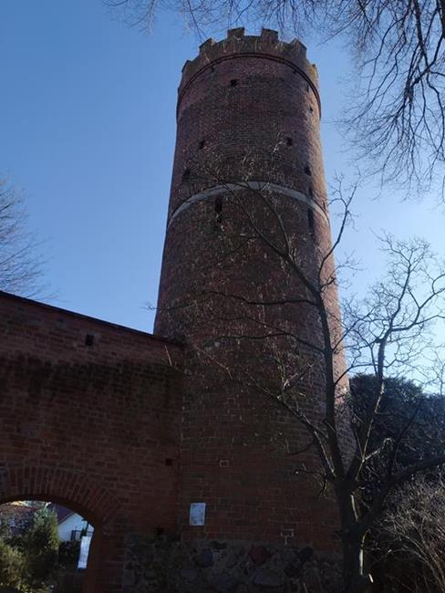 Zdjęcie 19