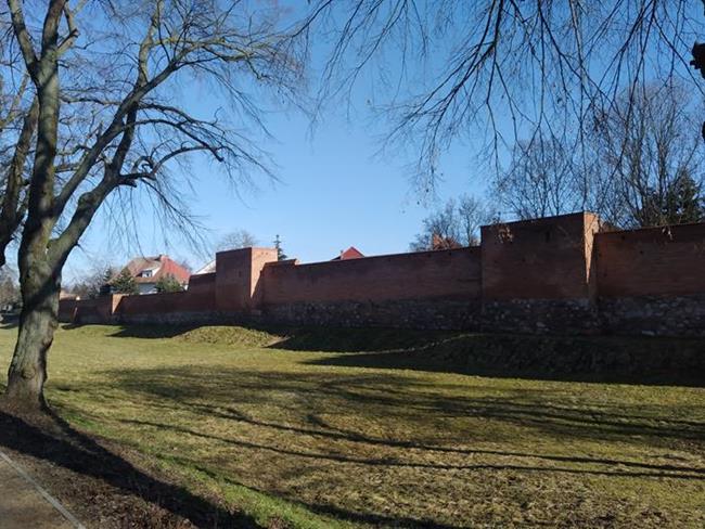 Zdjęcie 20