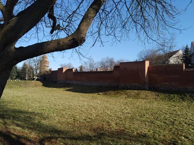 Zdjęcie 21