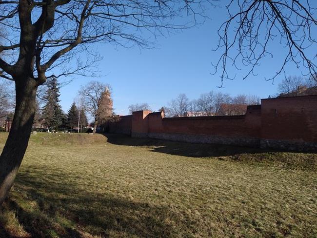 Zdjęcie 22