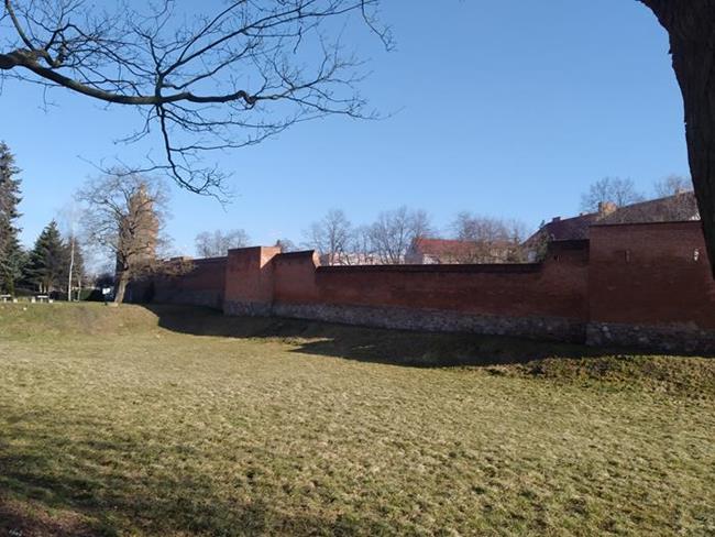 Zdjęcie 23