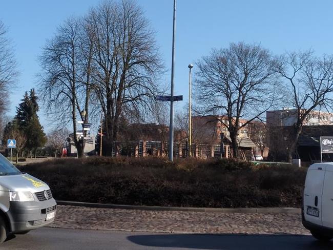 Zdjęcie 29