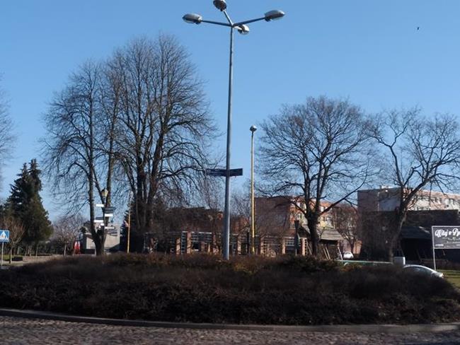 Zdjęcie 30