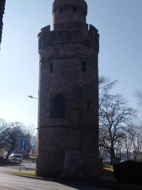Zdjęcie 35