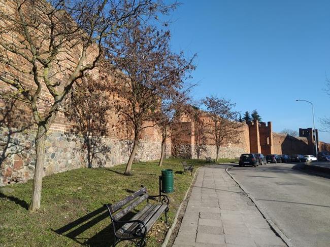 Zdjęcie 43