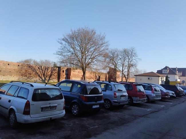 Zdjęcie 48